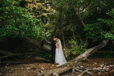 HoneyWedding | Fotograf ślubny